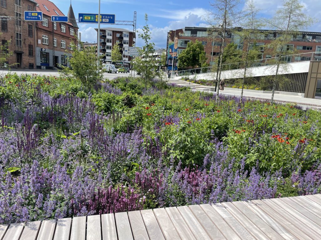 Blomstrende staudebed giver liv i byrummet på Søtorvet i Silkeborg.