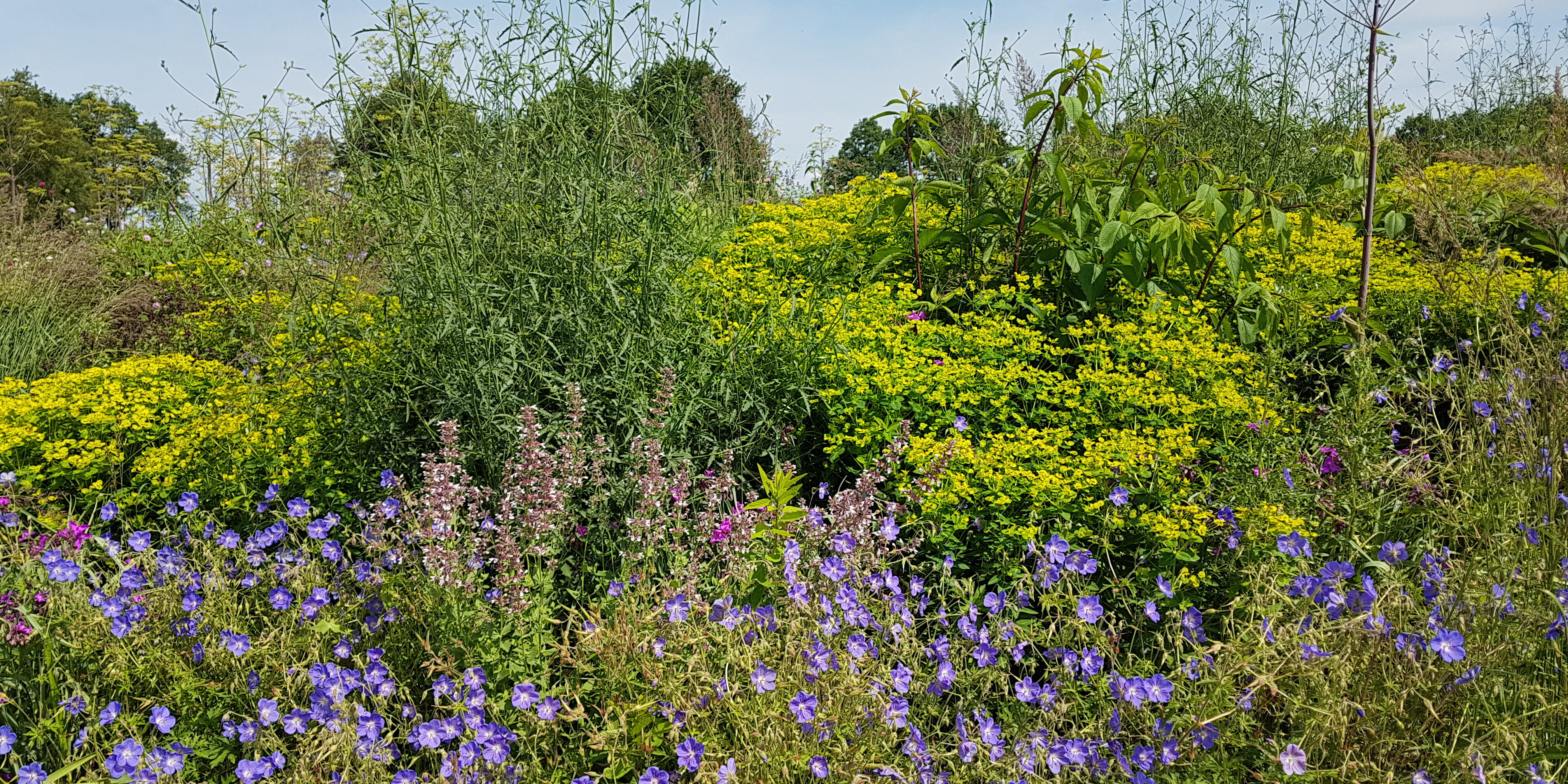 Blomster - Vores projekter